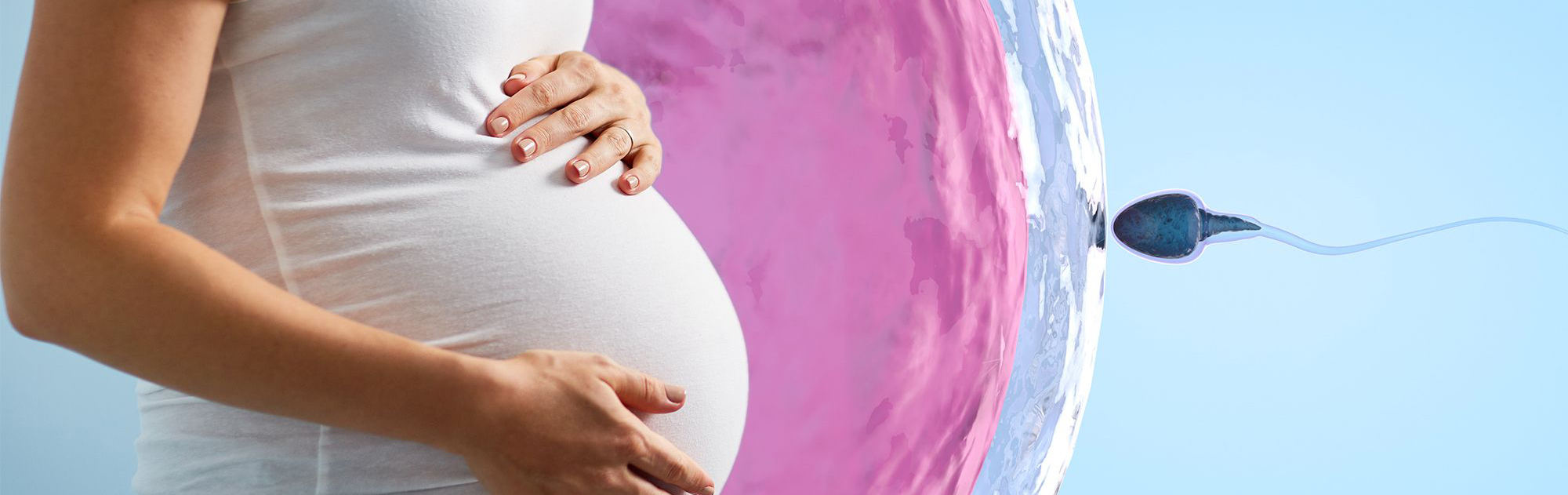 Репродуктология